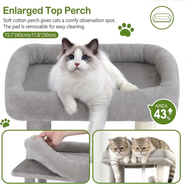 Small Cat Tree Tower for Indoor Cats, 40 in Medium Cat Bed Scratching Posts | Multi Level Compact Kitty Kitten Houses Climbing Trees Stands with 2 Condos Sisal Post Perch Platform Hammock Plush Toy Balls3