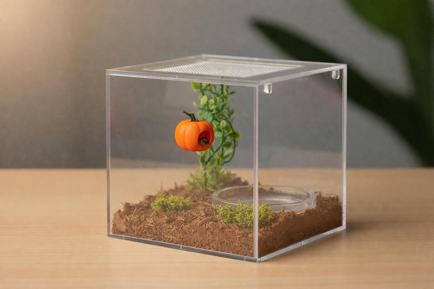 3pcs-pumpkin-jumping-spider-hide-jumping-spider-enclosure-accessories-magnetic-mounting-for-climbing-resting-and-exploration-small-reptile-enclosure-accessories-pumpkin-hide