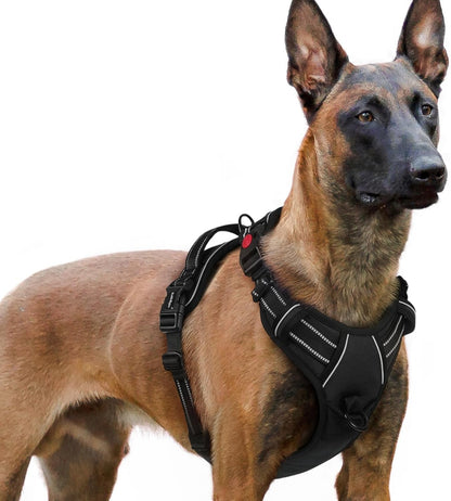 Rabbitgoo Dog Harness Medium Sized, Updated Easy on & off with 3 Buckles | No Pull No Choke, Walking with 2 Clips and Handle, Adjustable Soft Reflective, Blue, Medium73