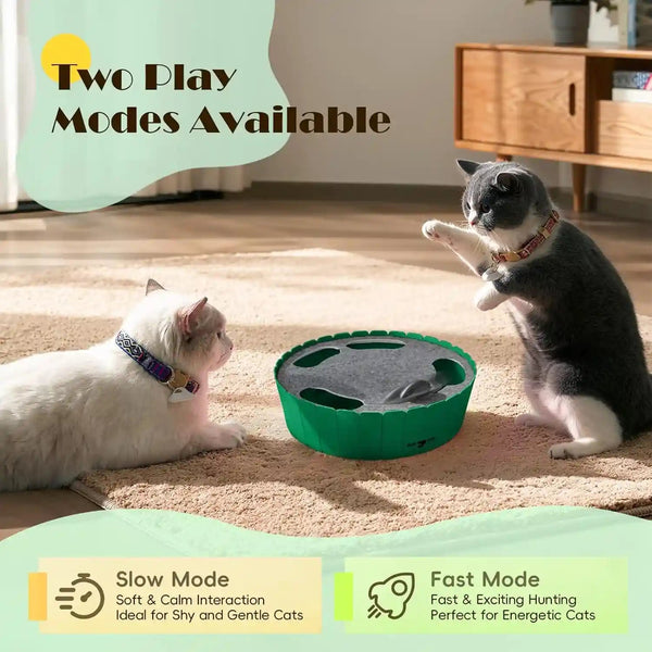 Pawaboo Interactive Cat Toy with Running Mouse, Electronic Motion Cat Toy Automatic Teaser for Indoor Cats, Pop and Play Hide Seek Cat Toys Hunting Mouse for Pet Cat Kitten Play Fun Exercise, Green4