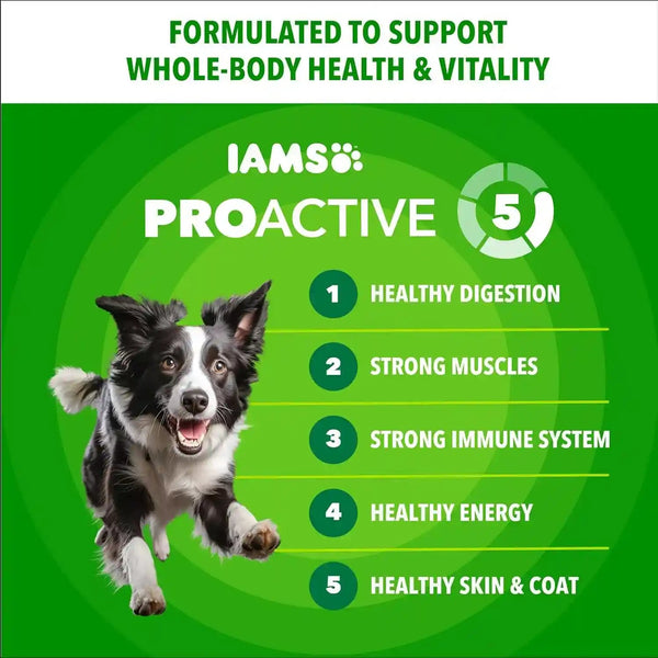 IAMS Proactive Health Adult Minichunks Dry Dog Food, Chicken, 30 Lb | Real Chicken #1 Ingredient, No Fillers, Natural Fiber & Prebiotics, Omega-6 Fatty Acids, Antioxidants for Immune Support3