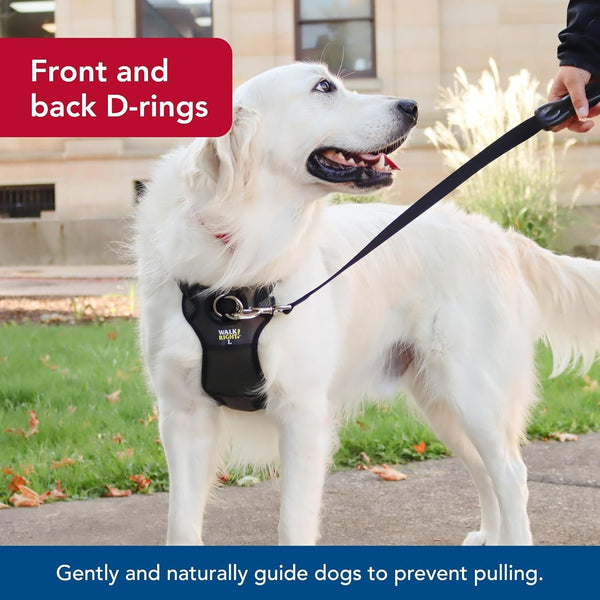 Coastal Pet Walk Right Front-Connect No-Pull Padded Dog Harness - Adjustable & Comfortable Dog Harness - Small & Large Breed Fit - Quality Pet Supplies - Black, LRG (26"-38")5