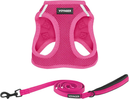 Best Pet Supplies Voyager Step-In Air All Weather Mesh Harness and Reflective Dog 5Ft Leash Combo with Neoprene Handle, for Small, Medium and Large Breed Puppies - Baby Blue, Small24