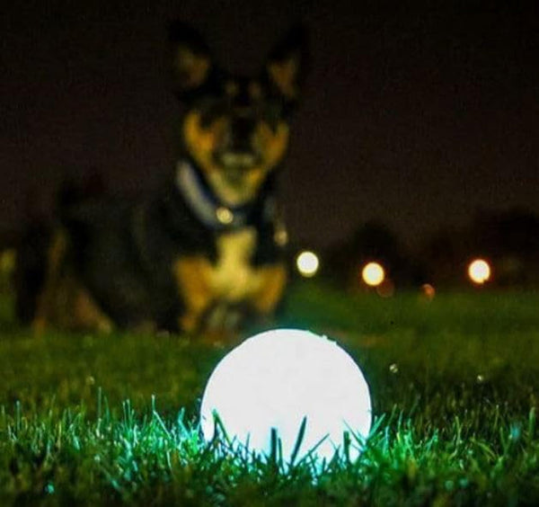 Chuckit! Glow in the Dark Bouncy Balls - Ball for Dogs, Chuckit Dog Toy, Max Glow Balls - Medium, 2.5 Inch Pack of 22