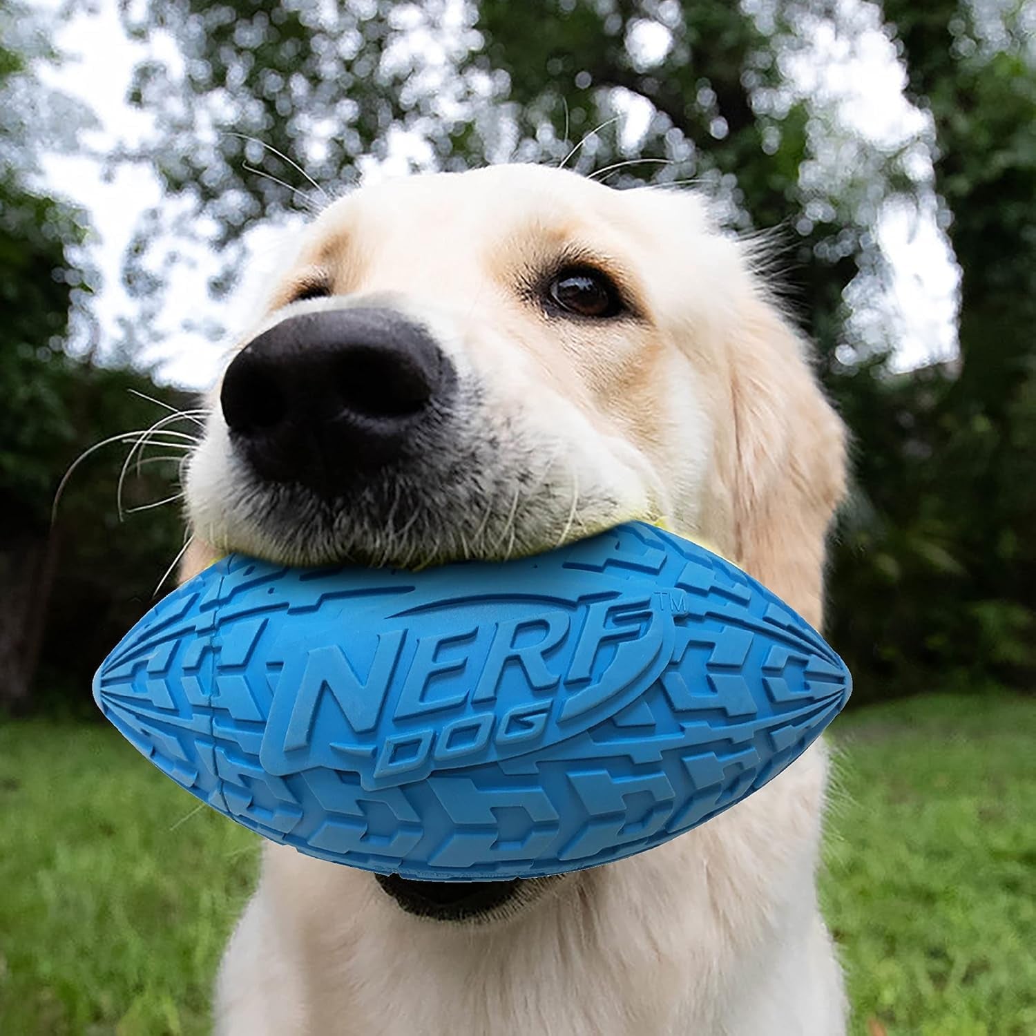 nerf-dog-tire-squeak-football-outdoor-dog-toy-6-inch-dog-football-squeaking-toy-for-medium-and-large-breeds-blue