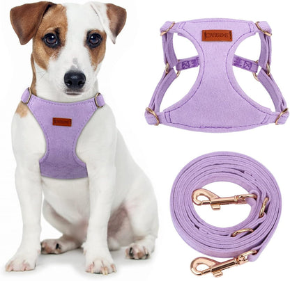 CHEDE No Pull Puppy Harness and Multifunction Dog Leash Set- 8 Colors Soft Adjustable No Choke Escape Proof Cute,Lightweight Pet Vest Harness for Small and Medium Dog…16