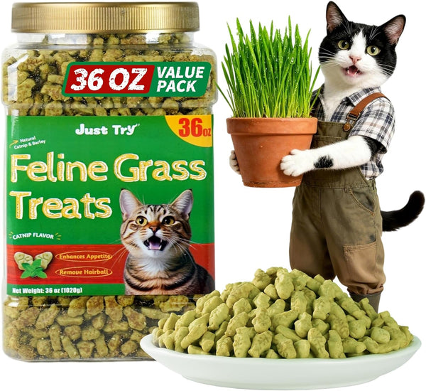Just Try Cat Treats for Indoor Cats Hairball Control Natural Salmon Healthy Cat Grass Treats Kitten Snacks Training Biscuits Catnip for Cats Dental Care 13.4 OZ16