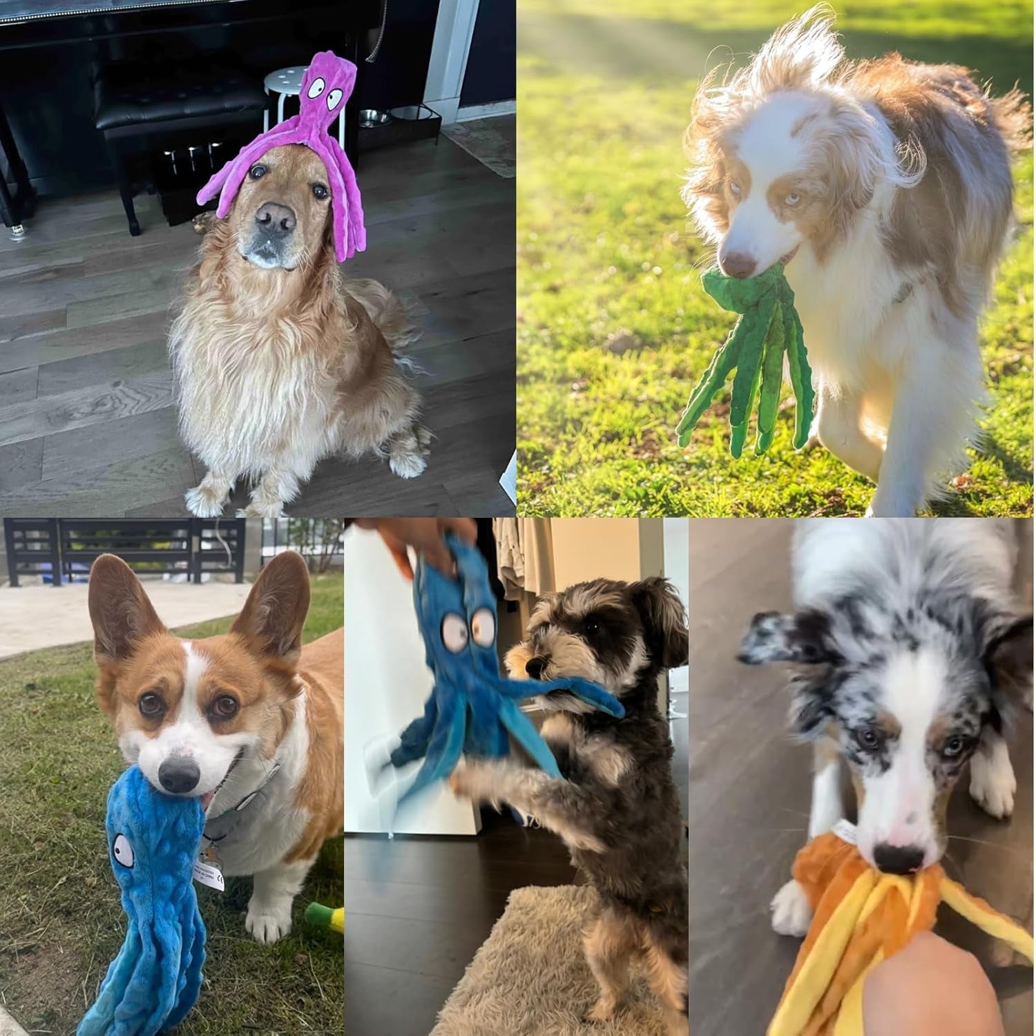 hgb-squeaky-dog-toys-2-pack-no-stuffing-octopus-crinkle-plush-chew-toys-for-puppies-small-medium-large-dogs-interactive-tug-toys-to-keep-dogs-busy