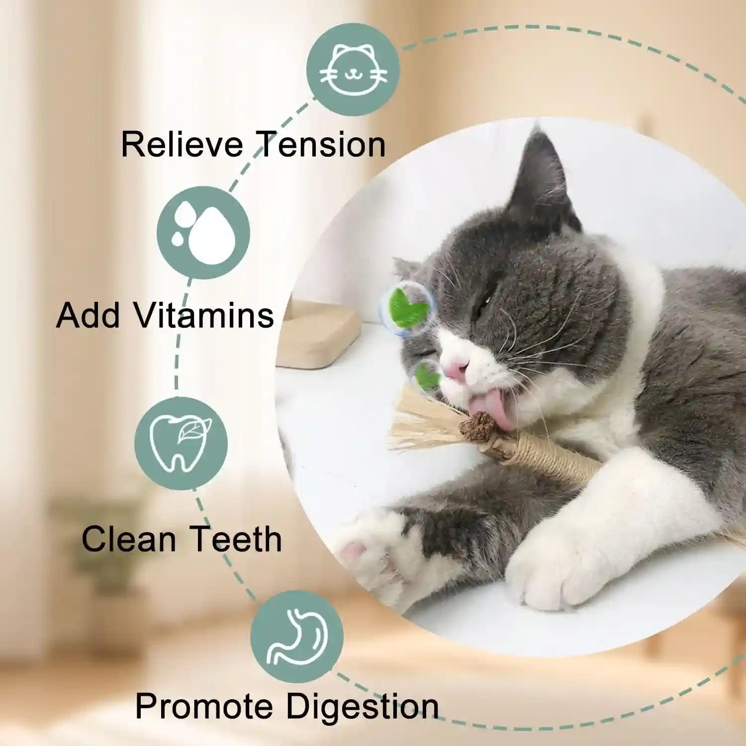 7-in-1-kitten-toys-for-indoor-cats-with-washable-adhesive-suction-cup-hanging-interactive-cat-toys-silvervine-stick-and-sisal-chew-rope-catnip-teething-toy-for-bored-kitten