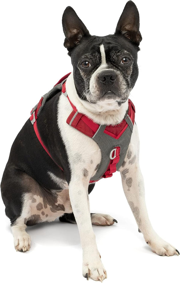 Kurgo Journey Air Dog Harness, Blue, Small | Padded Chest, Ripstop Outer & Breathable Mesh, Back Assist Handle, Rust-Free Aluminum Hardware, Reflective Trim10