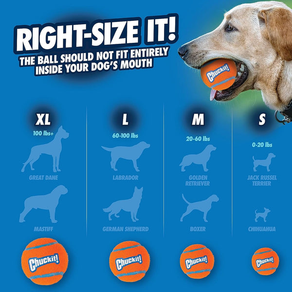 Chuckit! Dog Tennis Ball Dog Toy, Medium (2.5 Inch Diameter) for Dogs 20-60 Lbs, Pack of 48
