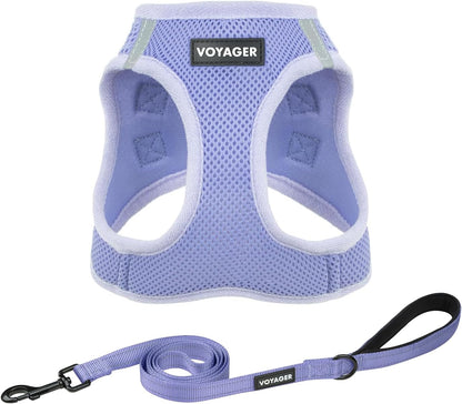 Best Pet Supplies Voyager Step-In Air All Weather Mesh Harness and Reflective Dog 5Ft Leash Combo with Neoprene Handle, for Small, Medium and Large Breed Puppies - Baby Blue, Small12