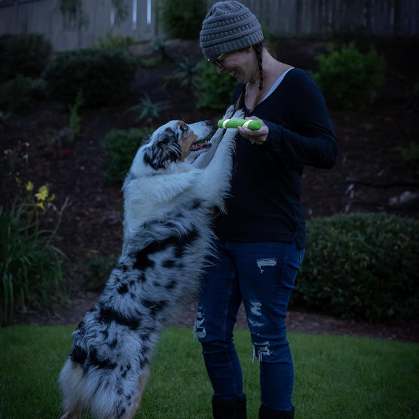 Chuckit! Max Glow Ultra Fetch Stick Outdoor Dog Toy, 12 Inches, for All Breed Sizes7