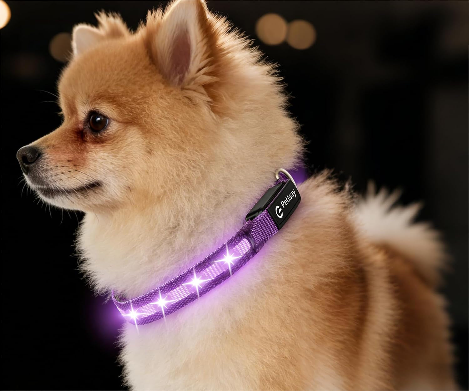 super-bright-led-dog-collar-waterproof-light-up-collarsgreen-medium-lighted-dog-collar-with-adjustable-fit-soft-nylon-comfort-usb-c-rechargeable-glow-in-the-dark-visibility-for-night-walks