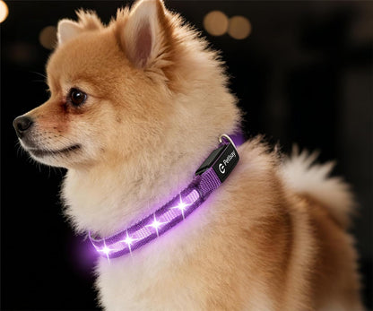 Super Bright LED Dog Collar, Waterproof Light up Collars(Green, Medium) | Lighted Dog Collar with Adjustable Fit, Soft Nylon Comfort, USB-C Rechargeable, Glow in the Dark Visibility for Night Walks8