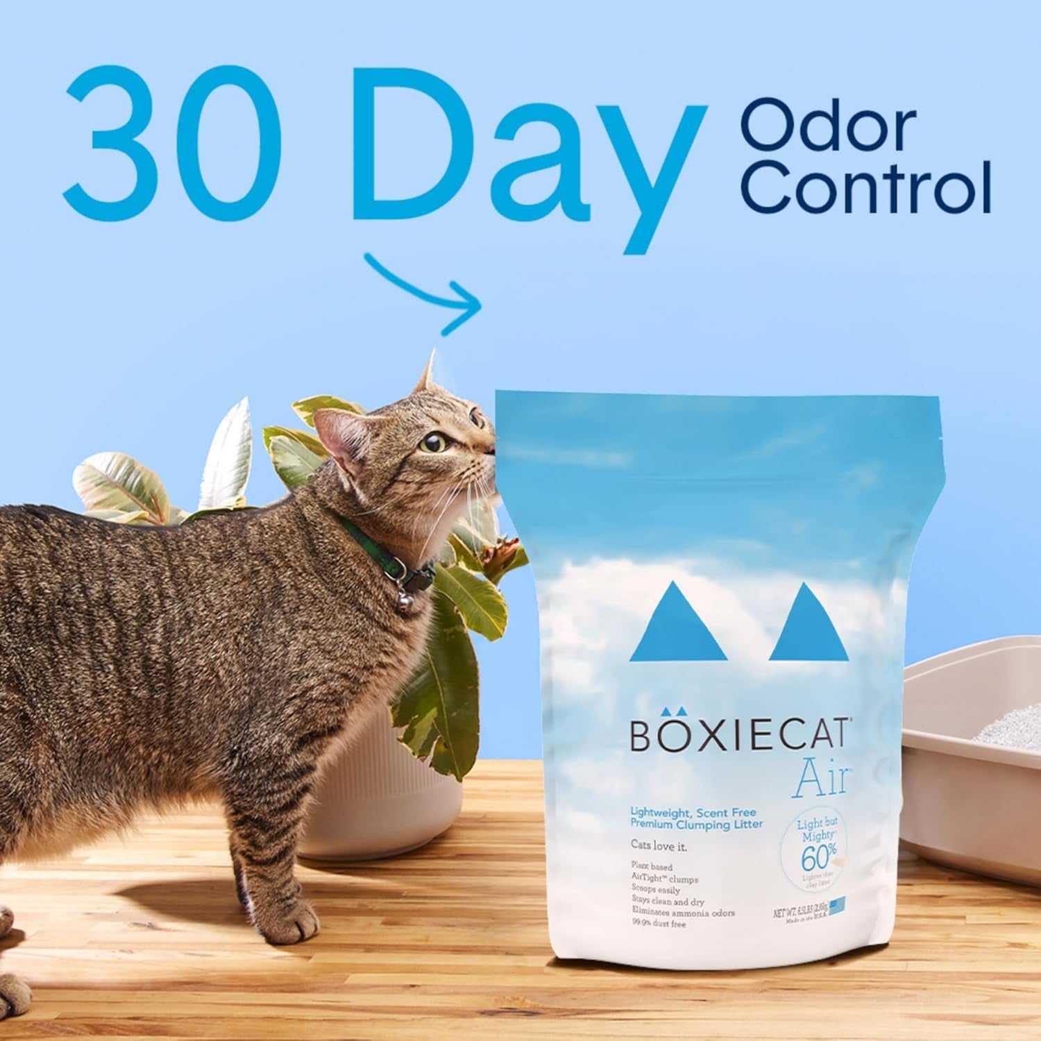 boxie-unscented-lightweight-cat-litter-30-day-odor-control-dust-free-6-5-lb