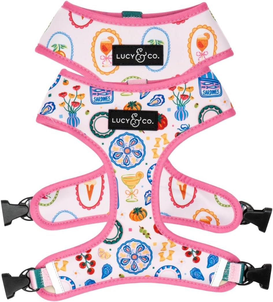 lucy-co-reversible-dog-harness-water-repellent-neoprene-dual-print-design-easy-swap-style-adjustable-comfort-fit-take-a-bow-reversible-harness-small