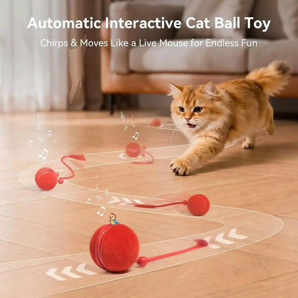 Cheerble Interactive Cat Toy Ball, Smart Automatic Electric Cat Toys for Indoor Cats with 3 Speeds, Chirping Moving Motion Activated Teaser Rolling Ball Toy for Cats/Small Dog to Keep Them Busy2