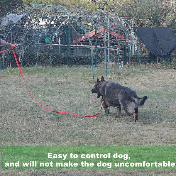Strong Durable Nylon 10Ft Long Dog Training Leash, Traction Rope, 1 Inch Wide, for Small and Medium Dog (Black, 10 Feet)6