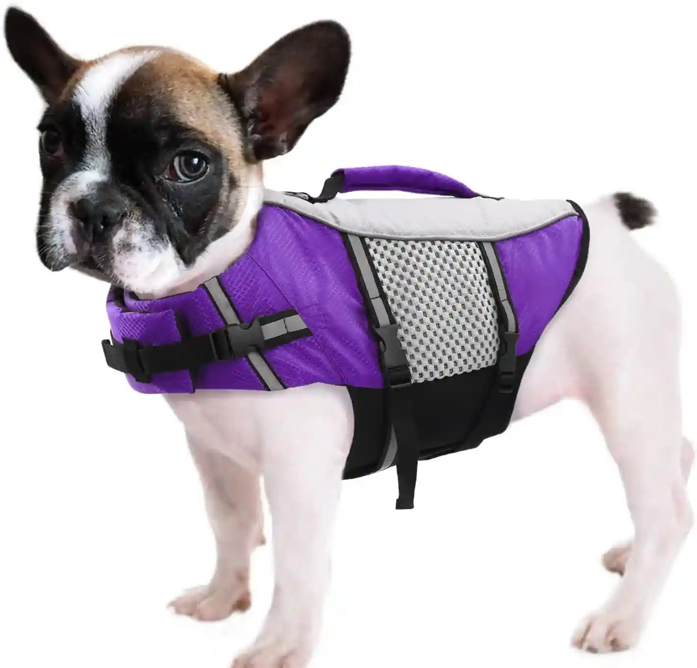 queenmore-dog-life-jacket-small-float-vests-for-swimming-boating-kayaking-mediumn-puppy-dogs-cats-neoprene-life-preserver-pet-water-lifesaver-lightweight-reflective-green-l