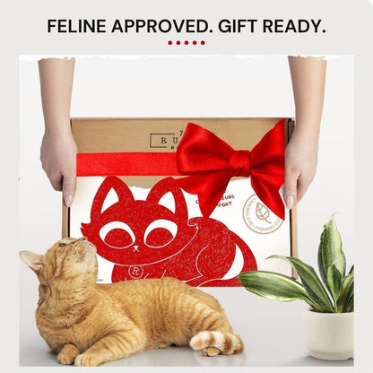 7 Ruby Road Cat Wall Hammock for Large Cats, Cat Wall Bed | a Space-Saving Wall Mounted Cat Bed with a Washable, Replaceable Cushion That Holds Big Cats up to 35 Lbs9