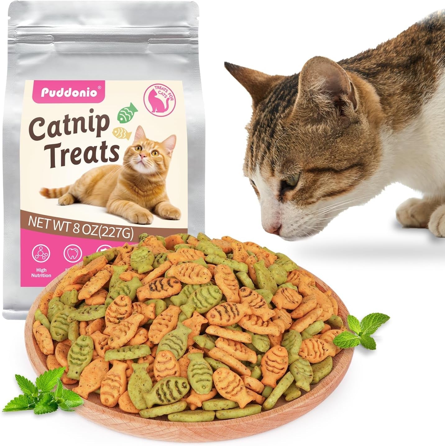 catnip-cat-treats-chicken-salmon-flavor-crunchy-bites-16-oz-catnip-infused-fish-shaped-biscuits-with-chicken-and-salmon-flavors-made-for-training-rewarding-and-everyday-bonding