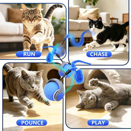 Automatic Interactive Cat Ball Toy for Indoor Cats, Electric Moving Rolling Cat Teaser Ball with Replaceable Feather, Stimulating Puzzle Enrichment Exercise for Kitten Adult Cats, Cat Birthday Gift7