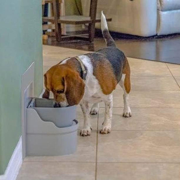Perpetual Well Automatic Pet Water Bowl (Wall Mount)2