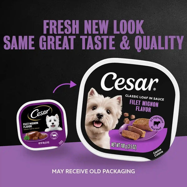 Cesar Classic Loaf in Sauce Wet Dog Food, Filet Mignon, 3.5 Oz, 24 Count | Made in USA, Real Beef #1 Ingredient, No Fillers/Added Sugar/Artificial Flavors, Use as Meal or Topper, Easy Peel Trays2