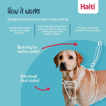 Halti No Pull Harness - Stop Your Dog Pulling on the Leash. Adjustable, Lightweight and Easy to Use. Reflective Dog Training Harness for Large Dogs (Size L, Black)3