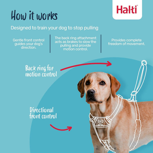 Halti No Pull Harness - Stop Your Dog Pulling on the Leash. Adjustable, Lightweight and Easy to Use. Reflective Dog Training Harness for Large Dogs (Size L, Black)3