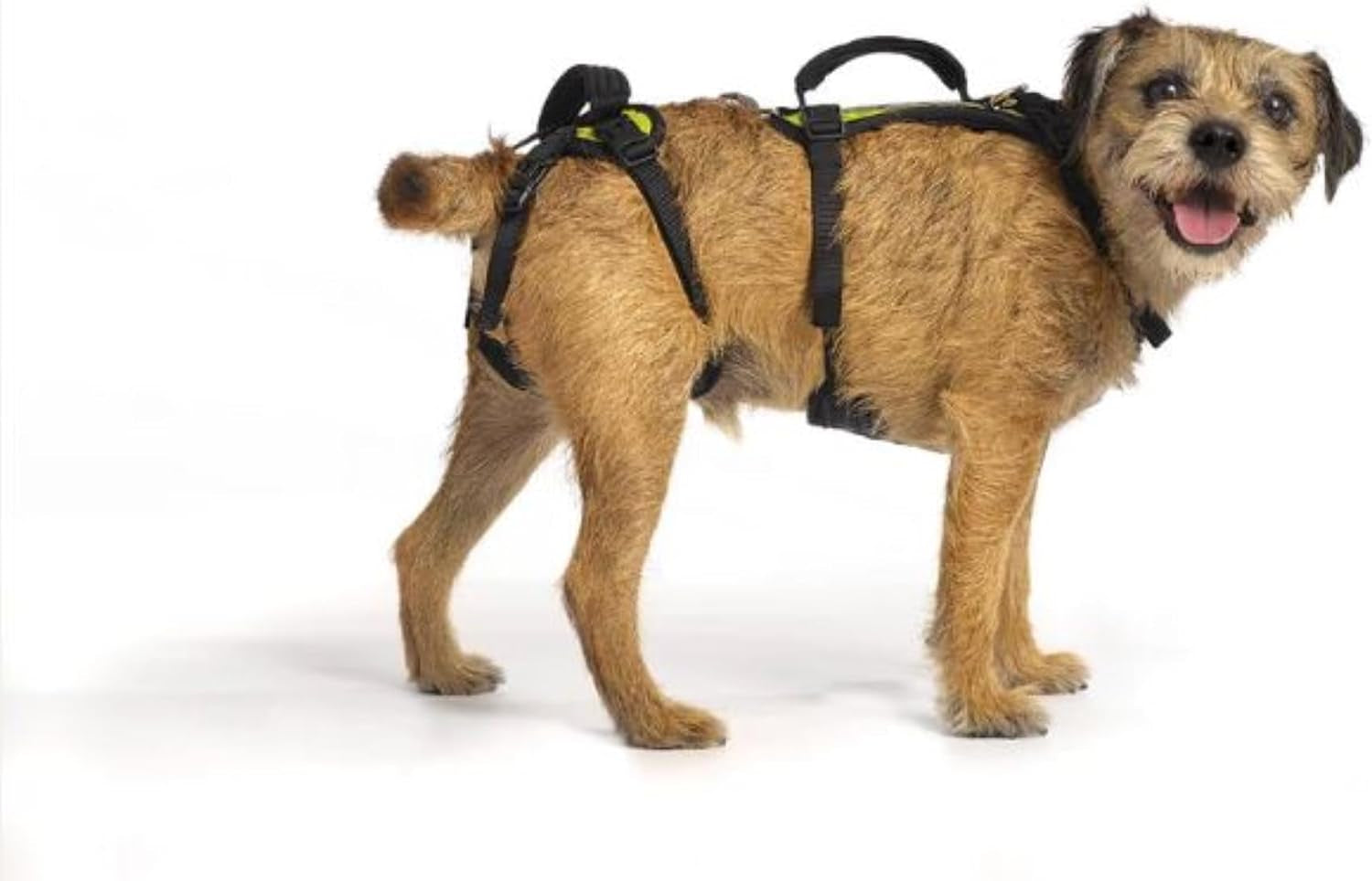 help-em-up®-dog-lift-harness-adjustable-lifting-harness-for-dogs-full-body-support-rear-leg-support-conventional-medium-45-80-lbs