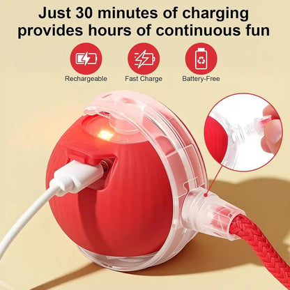 Smart Interactive Automatic Electric Rolling Moving Rechargeable Motion Activated Self Play Electronic Stimulation Chase Teaser Ball Toy with Rope for Indoor Bored Adult Cat and Dog, Red4