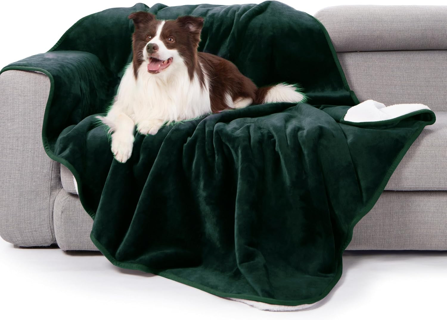 gogobunny-waterproof-bed-blanket-reversible-sherpa-fleece-throw-blanket-for-dog-puppy-cat-furniture-cover-protects-bed-couch-sofa-from-liquid-pee-and-pet-fur-dark-purple-50x60-inches