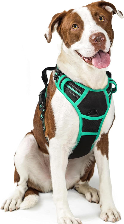Rabbitgoo Dog Harness, No Pull for Large Dogs with 2 Leash Clips, Pet Vest | No Choke with Handle, Adjustable Soft Padded, Reflective, Easy Control for Walking, Black, Large48