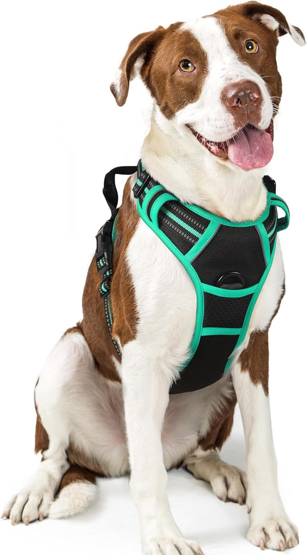 Rabbitgoo Dog Harness, No Pull for Large Dogs with 2 Leash Clips, Pet Vest | No Choke with Handle, Adjustable Soft Padded, Reflective, Easy Control for Walking, Black, Large48