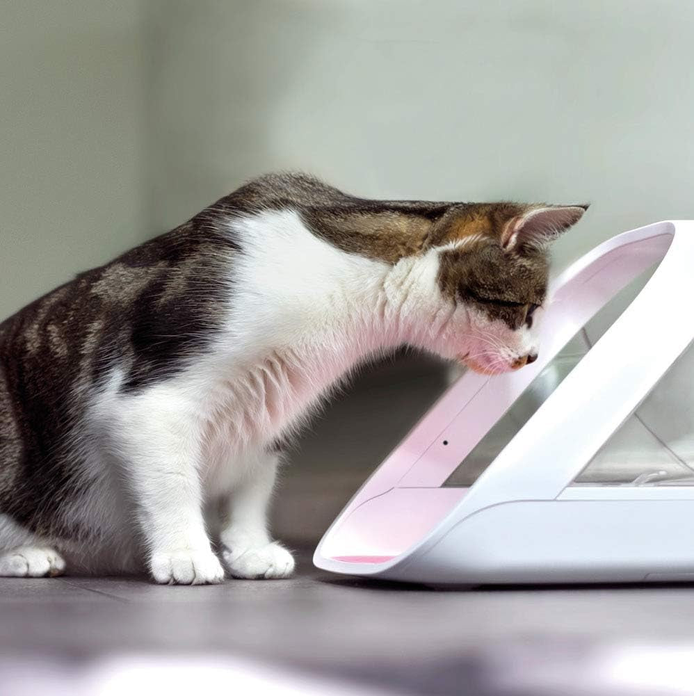 surefeed-microchip-pet-feeder-connect-requires-hub-sold-separately
