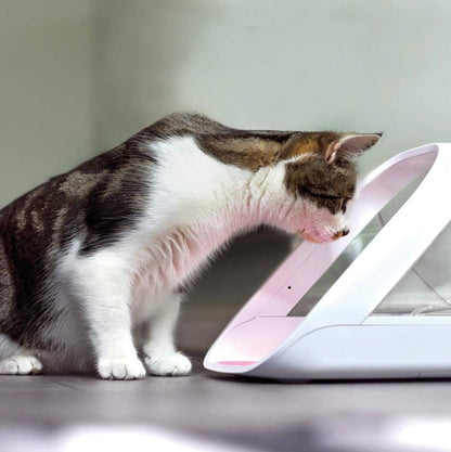 Surefeed Microchip Pet Feeder Connect - Requires Hub (Sold Separately)2