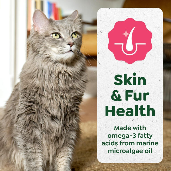 Greenies Feline Smart Purees Skin & Fur Health Lickable Cat Treats with Real Salmon, 0.49 Oz. Tubes, 20 Count | Grain-Free, Omega-3 from Marine Microalgae Oil, Real Salmon Protein, No Carrageenan, Moisture-Rich, Nutritionally Complete5