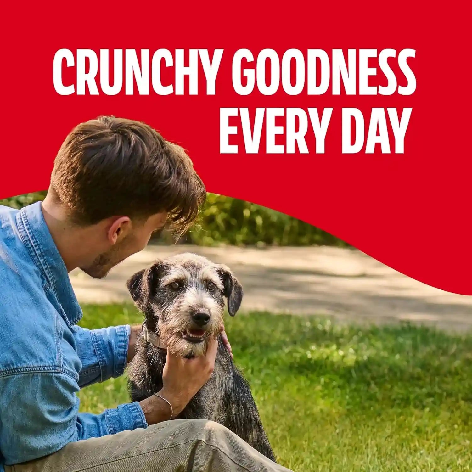 milk-bone-original-medium-dog-biscuits-10-lb-box-280-treats-classic-meaty-taste-crunchy-dog-treats-for-dogs-20-50lbs-15-protein-12-vitamins-minerals-made-in-the-usa