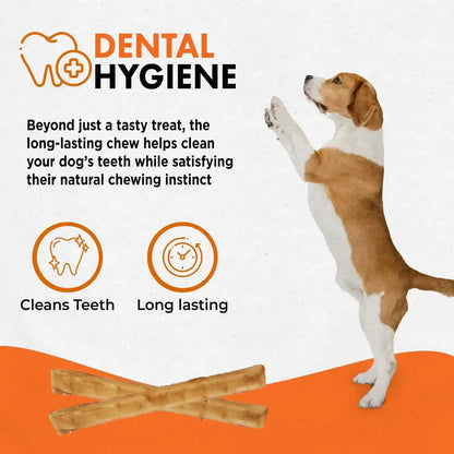 Canine Naturals Rawhide Free Beef Receipe Dog Chews, Sticks, 40 Count | 100% Rawhide Free, Made with Real Beef, Poultry Free, All-Natural, Easily Digestible, 5 in Sticks, Dog Treats, Bulk Pack5