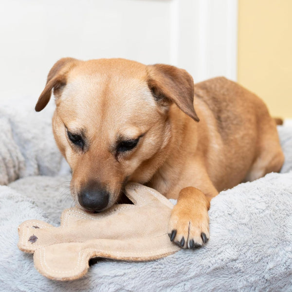 SPOT Dura-Fused Leather Squirrel Dog Toy – Real Leather & Jute Fabric, Double-Stitched & Durable, Soft Stuffed Squeaky Interactive Chew Toy for Moderate Chewers, Small & Medium Dogs, 8In5