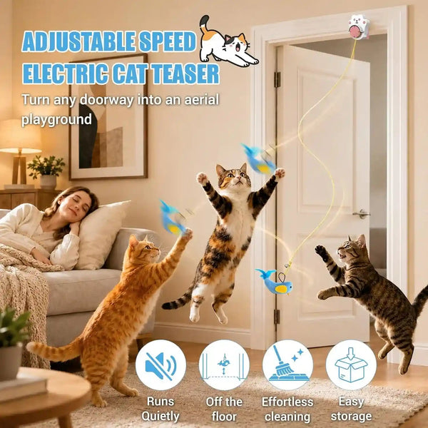 Interactive Cat Toys for Indoor Cats, Automatic Flying Bird & Mouse | Chase Exercise Enrichment Stimulation, USB Large-Capacity Rechargeable Electric Door Hanging Toy for Bored Kitten & Adult Cat6