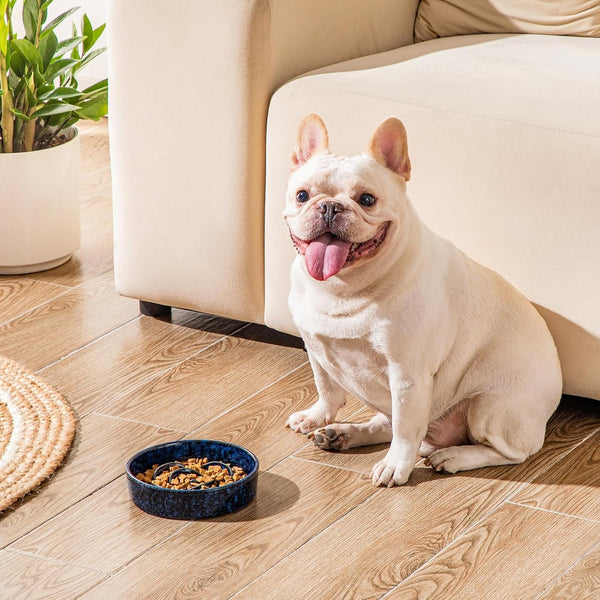Vancasso Slow Feeder Dog Bowl, 0.6 Cups Ceramic Dog Food Dish for Fast Eaters Small Breed, Puzzle Bowl for Small Dogs and Cats, Blue8
