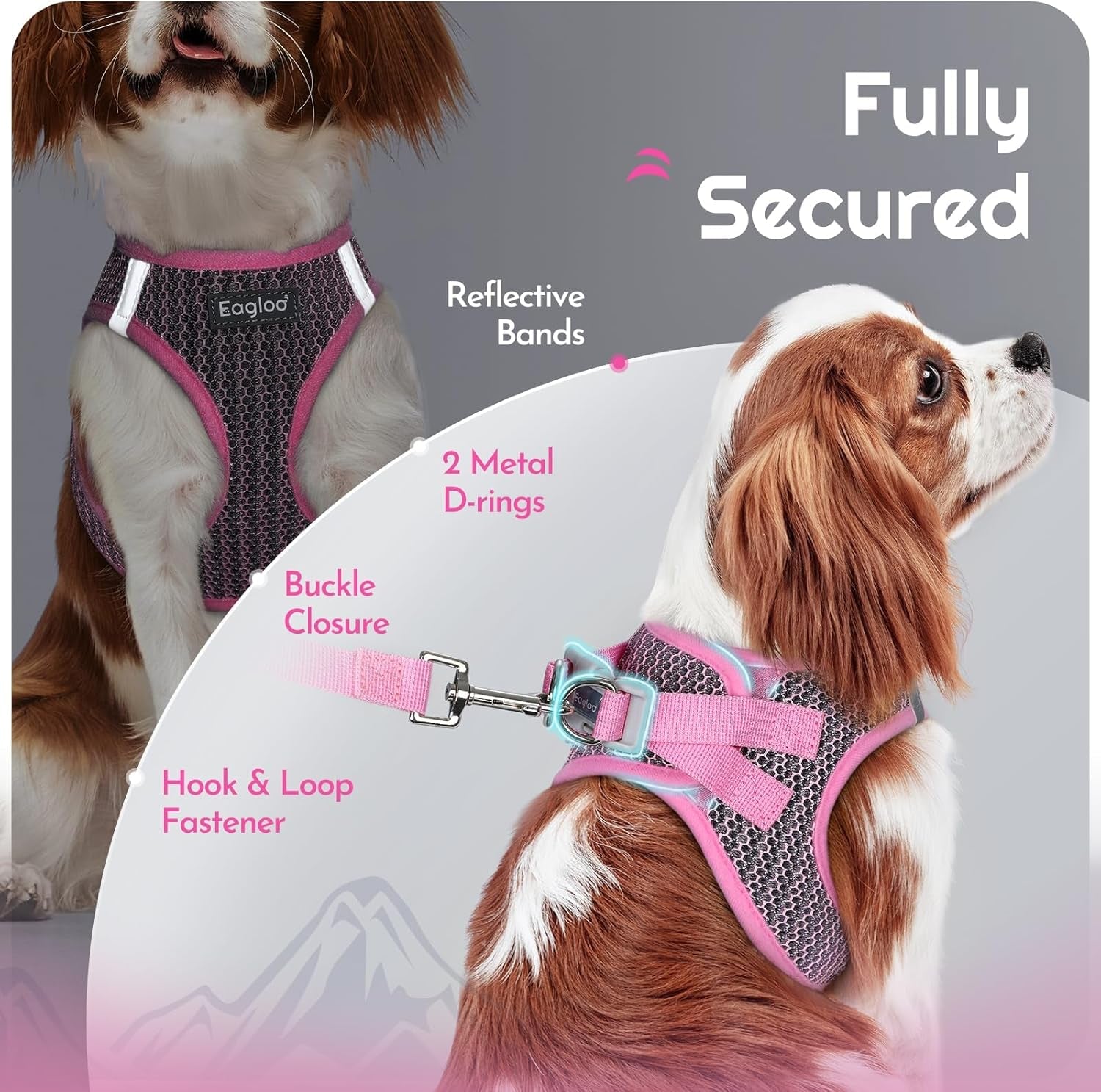eagloo-small-dog-harness-and-leash-set-step-in-small-sized-puppy-pet-vest-light-soft-breathable-air-mesh-easy-on-and-off-with-hook-loop-reflective-for-safe-walking-pink-s