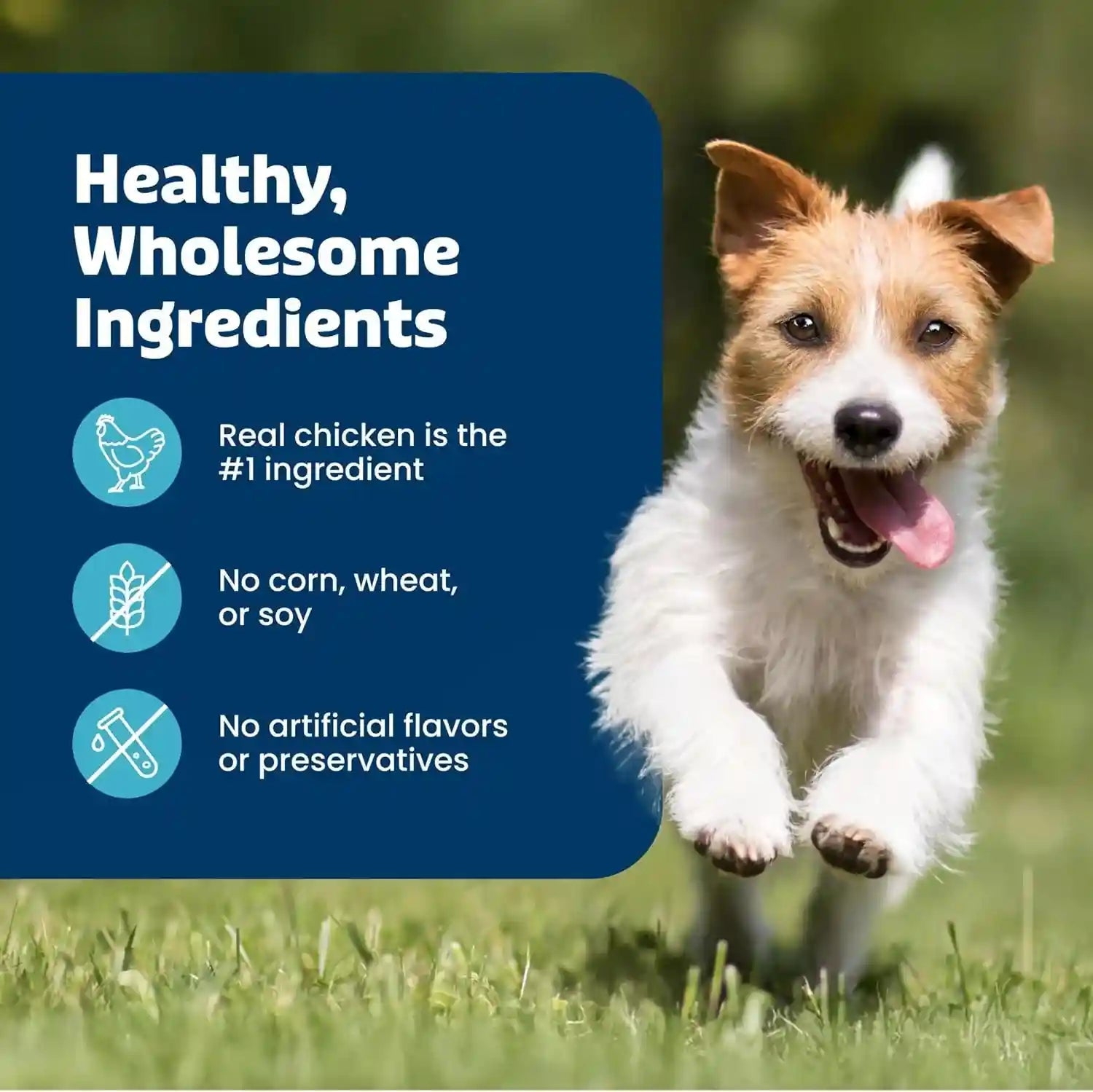 blue-buffalo-true-chews-chicken-pot-pie-natural-dog-treats-real-meat-dog-snacks-healthy-reward-or-training-treat-made-in-the-usa-with-real-chicken-natural-ingredients-12-oz
