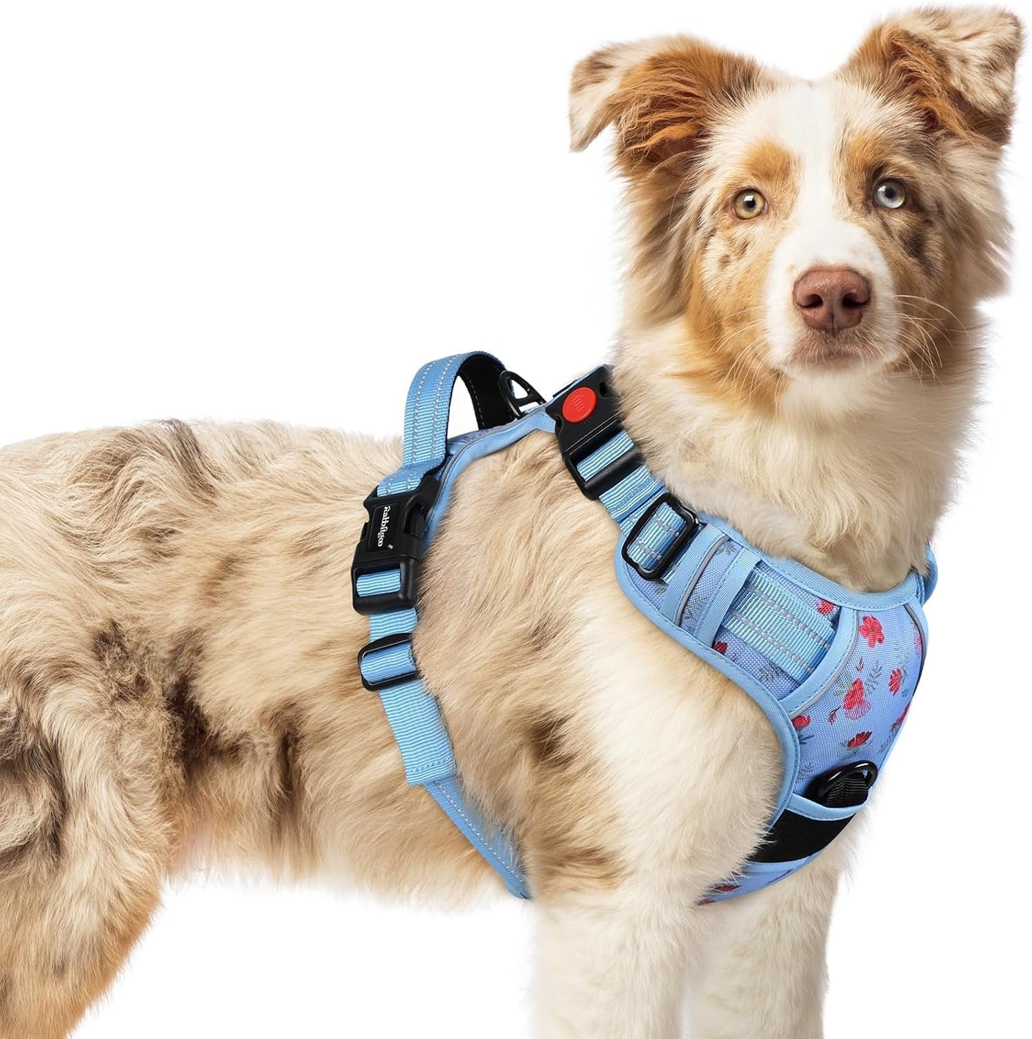 rabbitgoo-dog-harness-medium-sized-updated-easy-on-off-with-3-buckles-no-pull-no-choke-walking-with-2-clips-and-handle-adjustable-soft-reflective-blue-medium