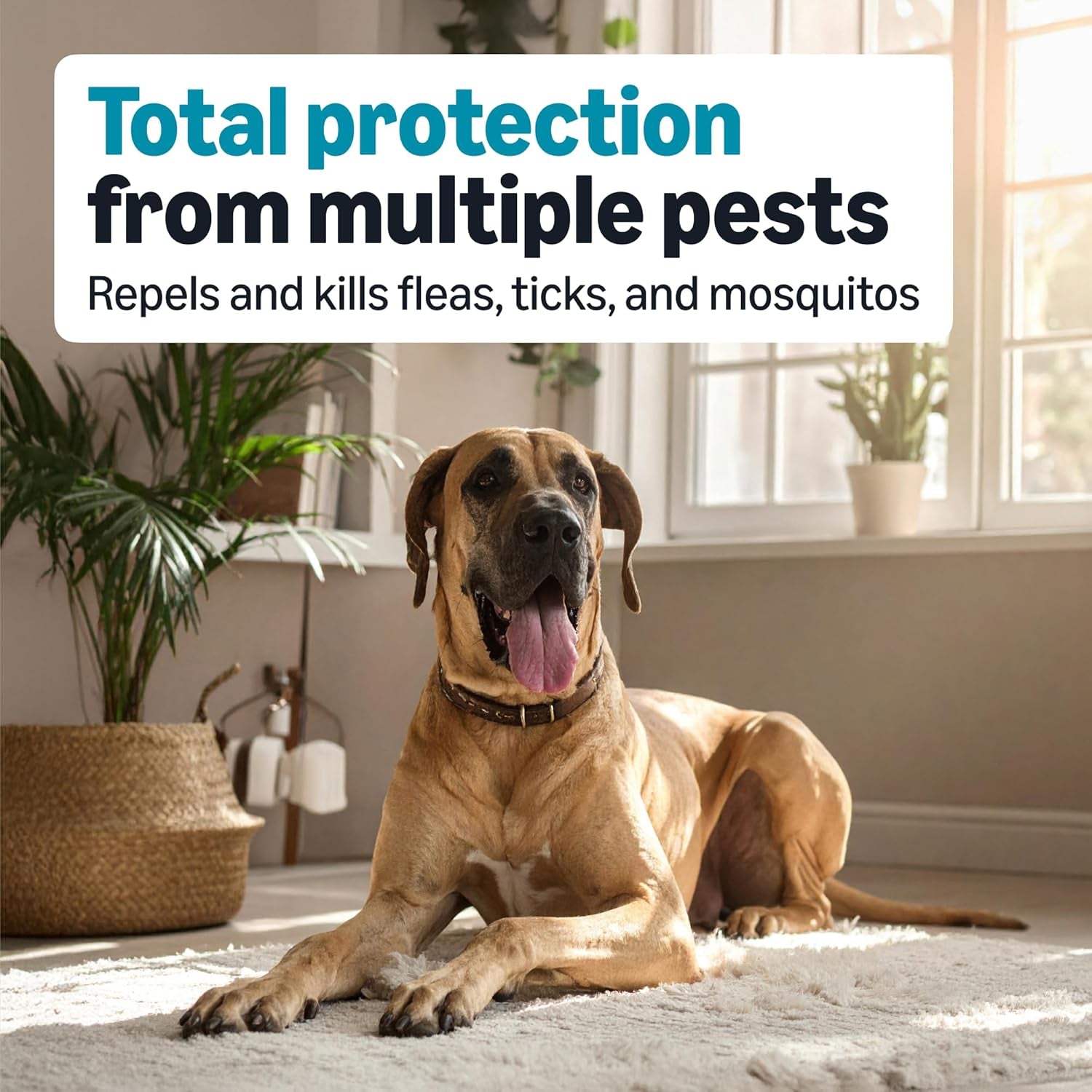 amazon-basics-preventative-flea-tick-mosquito-topical-treatment-for-x-large-dogs-over-55-pounds-kills-fleas-long-lasting-6-count-packaging-may-vary