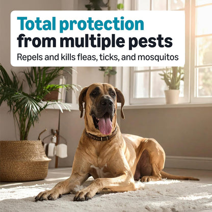 Amazon Basics Preventative Flea, Tick & Mosquito Topical Treatment for X-Large Dogs (Over 55 Pounds), Kills Fleas, Long-Lasting, 6 Count, Packaging May Vary3