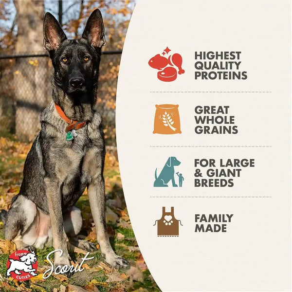 Fromm Large Breed Adult Gold Premium Dry Dog Food - Dry Adult Dog Food for Large Breeds - Chicken Recipe - 30 Lb3